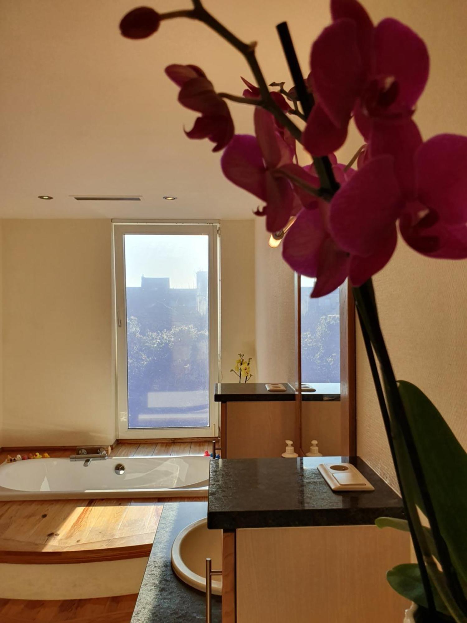 Huize La Passion Vacationhouse 10 Min Walk From The Sea Villa Middelkerke Dış mekan fotoğraf